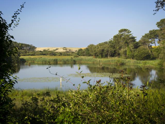 Marais de la Pipe