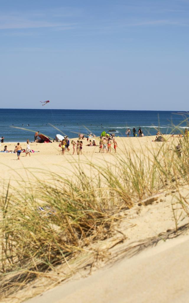 Saint Girons Plage | Côte Landes Nature