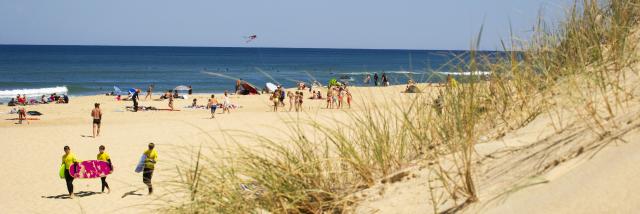 Saint Girons Plage | Côte Landes Nature