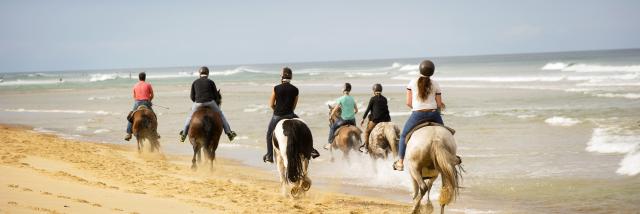 Randonnée à cheval | Côte Landes Nature