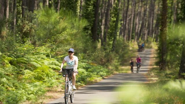 Piste cyclable en Côte Landes Nature