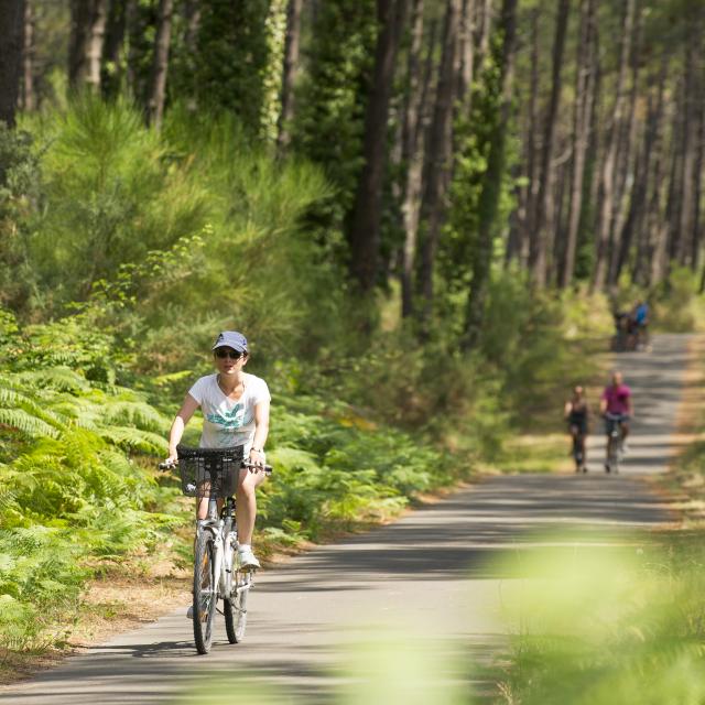 Piste cyclable en Côte Landes Nature