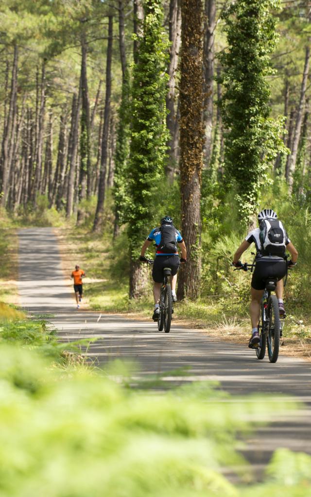 à vélo dans les Landes | Côte Landes Nature Tourisme