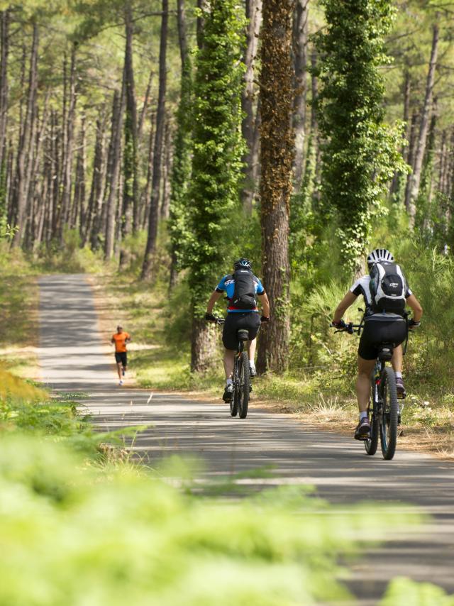 à vélo dans les Landes | Côte Landes Nature Tourisme