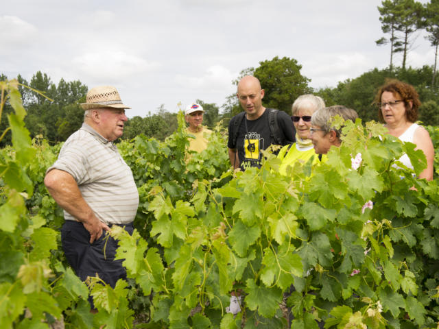 Vendanges chez Desbieys | Côte Landes Nature