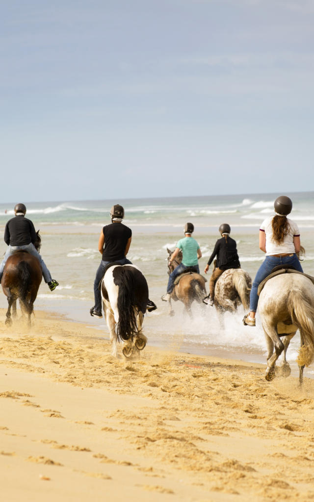 Randonnée à cheval | Côte Landes Nature