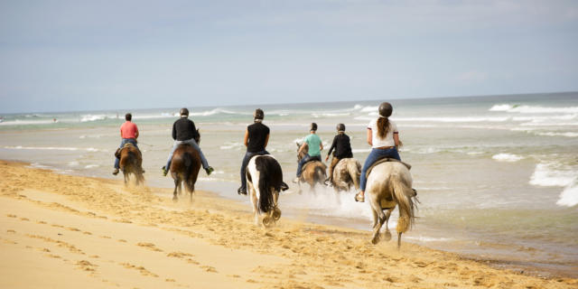 Randonnée à cheval | Côte Landes Nature