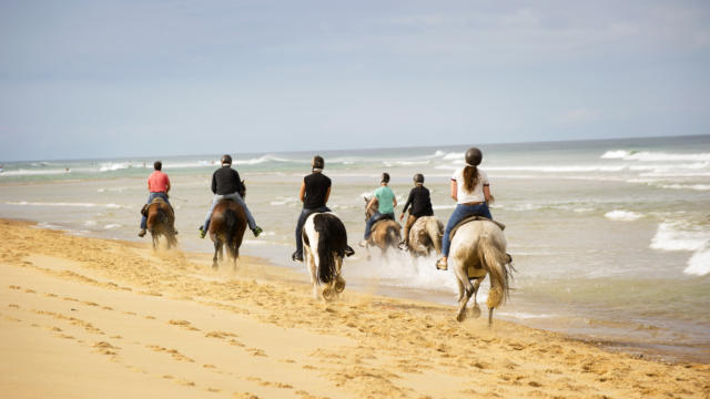 Randonnée à cheval | Côte Landes Nature