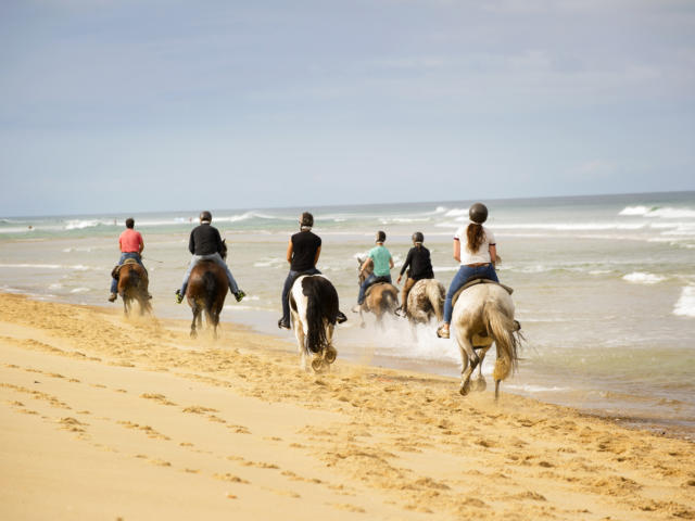 Randonnée à cheval | Côte Landes Nature