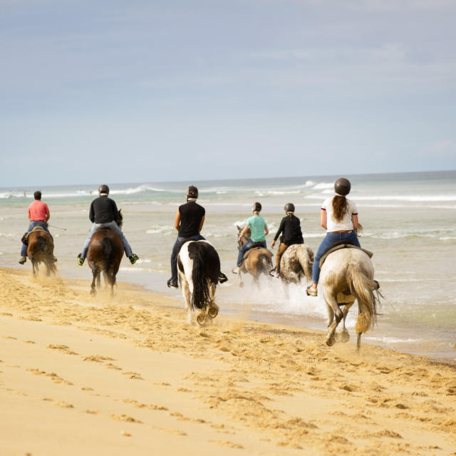 Randonnée à cheval | Côte Landes Nature