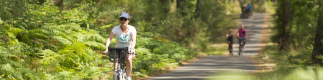 Piste cyclable en Côte Landes Nature