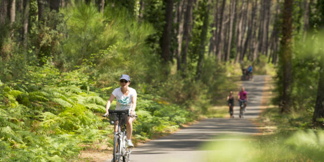 Piste cyclable en Côte Landes Nature