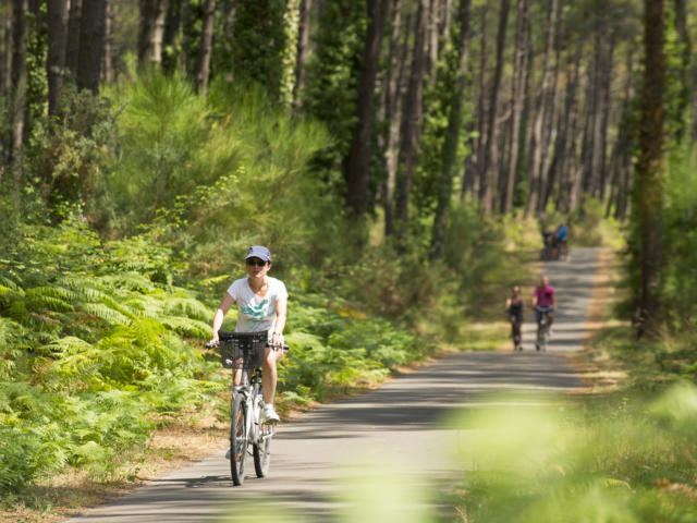 Piste cyclable en Côte Landes Nature