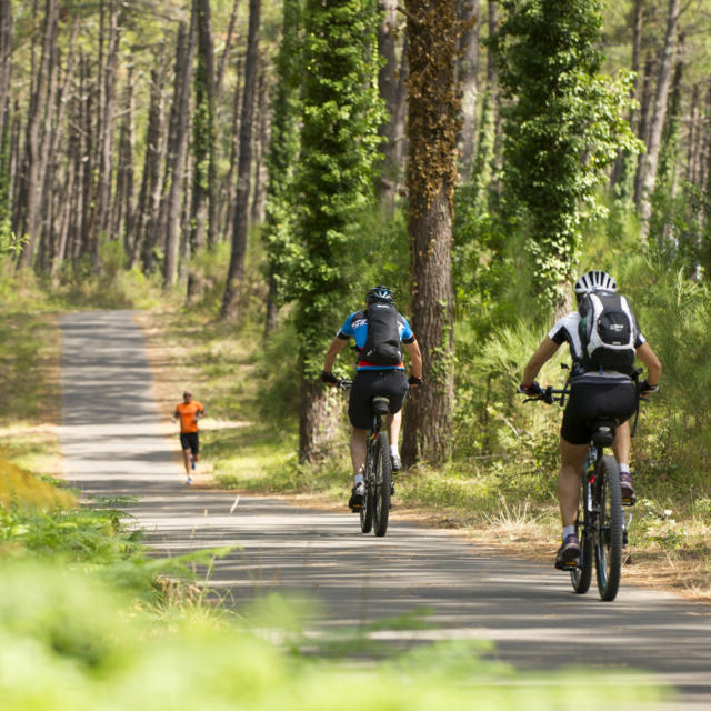 à vélo dans les Landes | Côte Landes Nature Tourisme