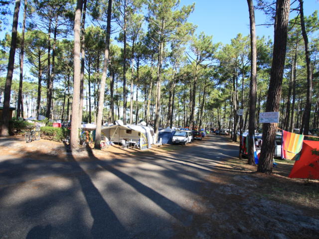 Faire du Camping à Lit et Mixe | Côte Landes Nature