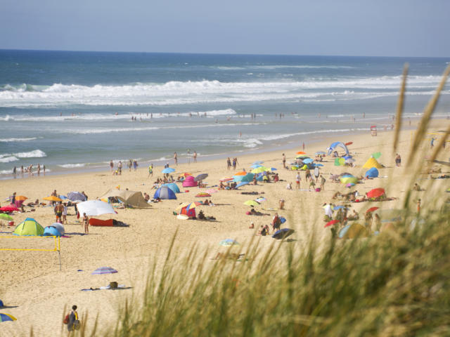 Plage du Cap de l'Homy à Lit et Mixe | Côte Landes Nature