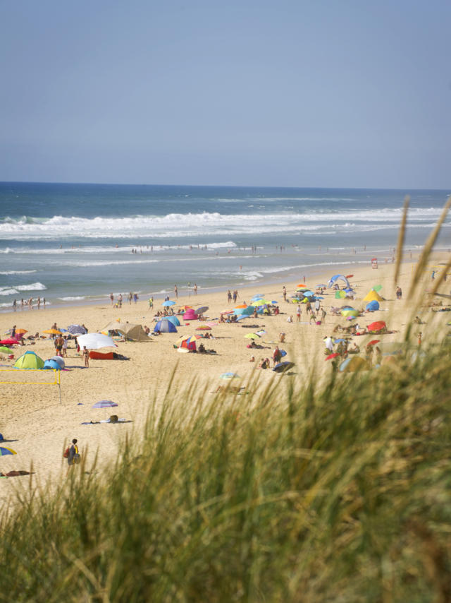 Plage du Cap de l'Homy à Lit et Mixe | Côte Landes Nature