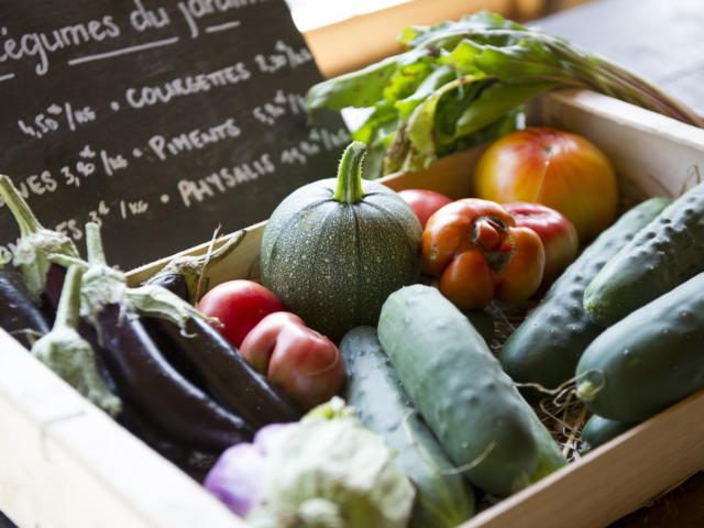 Produits frais à déguster en Côte Landes Nature