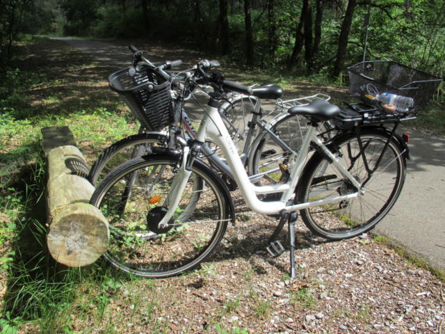 Louer votre vélo à Lit et Mixe | Côte Landes Nature