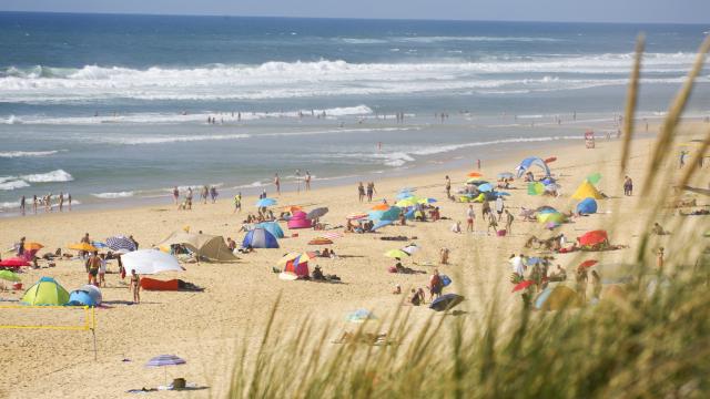 Plage du Cap de l'Homy à Lit et Mixe | Côte Landes Nature