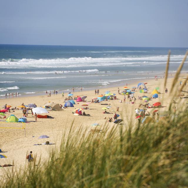 Plage du Cap de l'Homy à Lit et Mixe | Côte Landes Nature