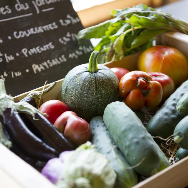 Produits frais à déguster en Côte Landes Nature