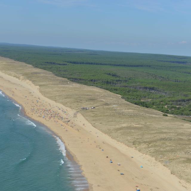 Plage de Arnaoutchot | Côte Landes Nature