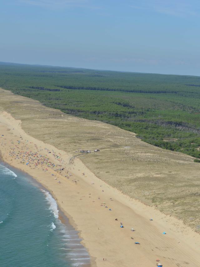 Plage de Arnaoutchot | Côte Landes Nature