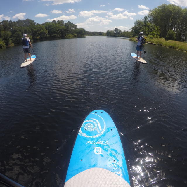 Balade en Paddle sur le lac d'Uza | Côte Landes Nature