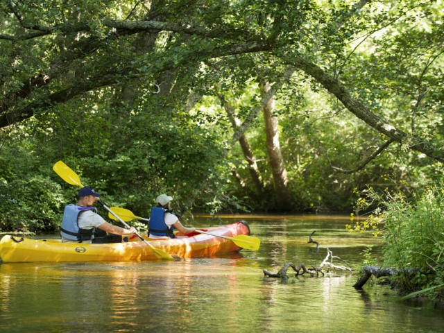 Courant La Palue en Côte Landes Nature