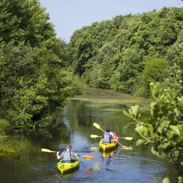 Courant La Palue en Côte Landes Nature