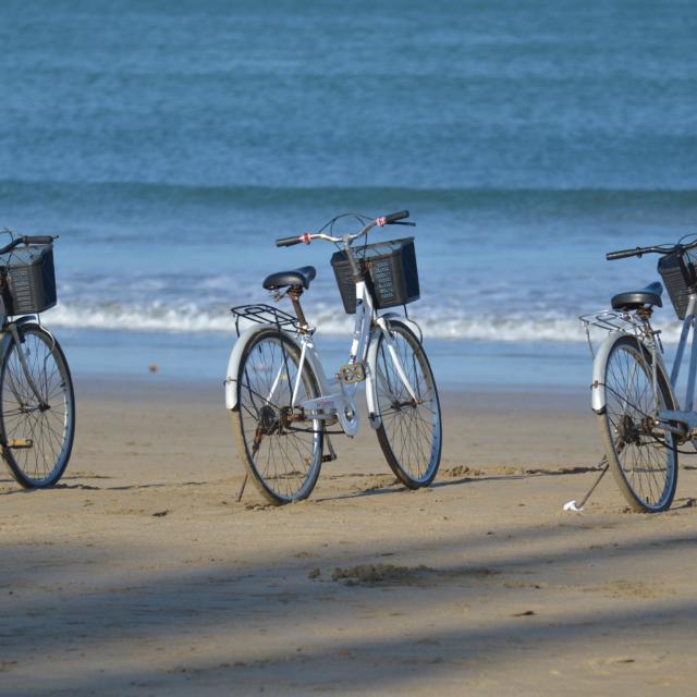 Location Vélo en Cöte Landes Nature