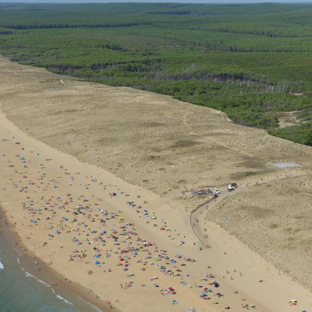 Plage de Arnaoutchot | Côte Landes Nature