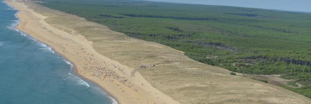 Plage de Arnaoutchot | Côte Landes Nature