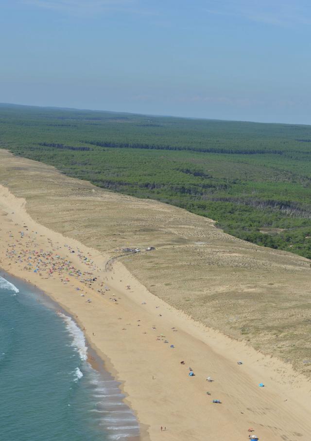 Plage de Arnaoutchot | Côte Landes Nature