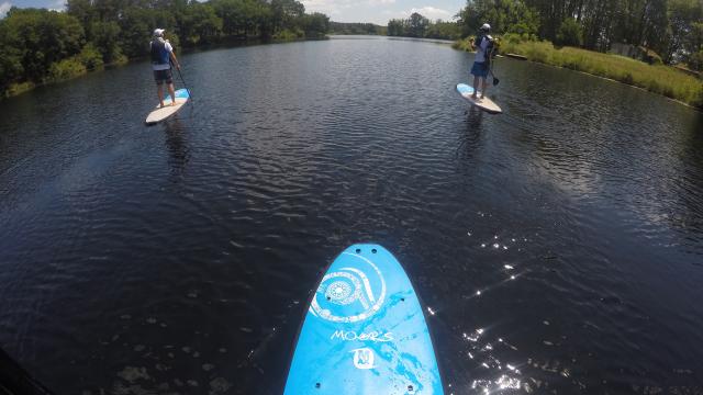 Balade en Paddle sur le lac d'Uza | Côte Landes Nature