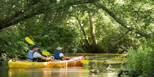 Courant La Palue en Côte Landes Nature