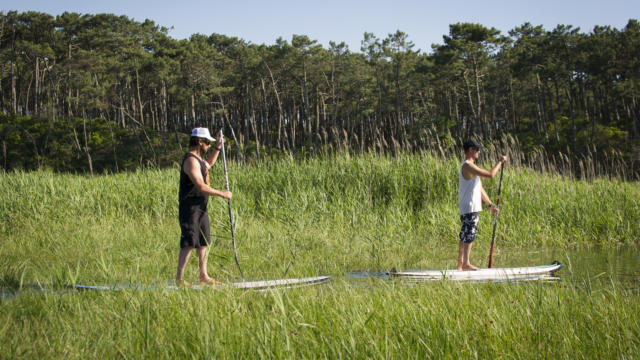 Paddle sur le Courant de Contis