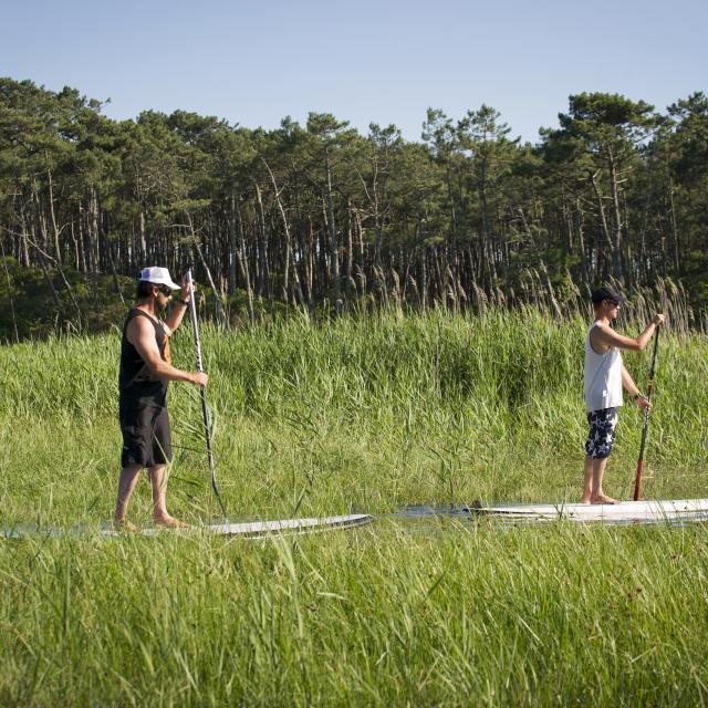 Paddle sur le Courant de Contis