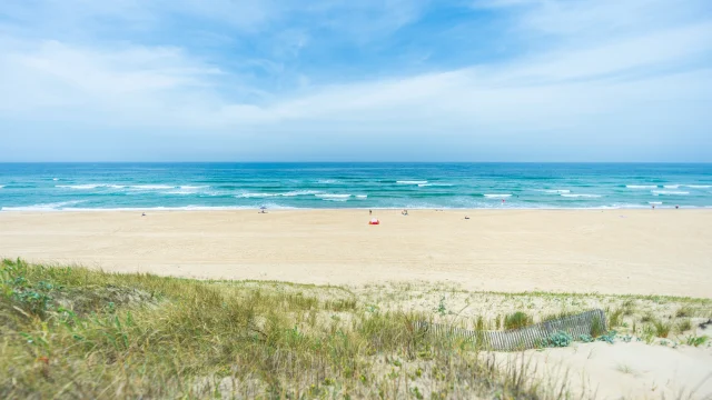 Cap de l'Homy, Plage de Côte Landes Nature