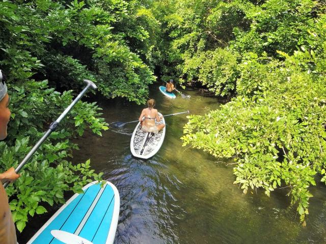 Le courant de Contis en paddle