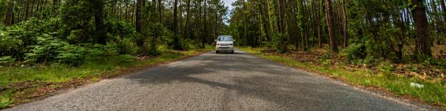 Van Trip en Côte Landes Nature, Contis à Léon !