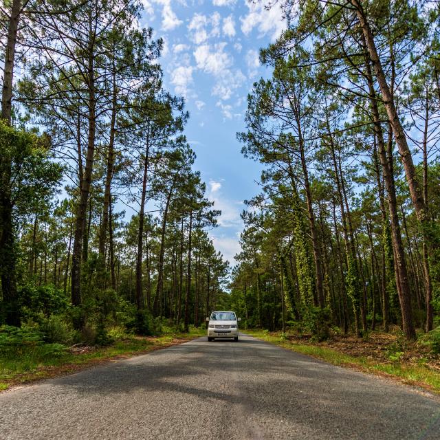 Van Trip en Côte Landes Nature, Contis à Léon !