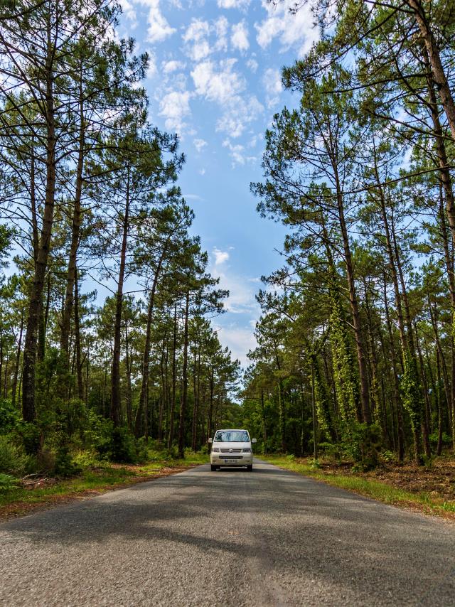 Van Trip en Côte Landes Nature, Contis à Léon !