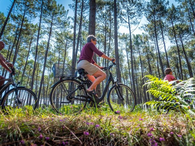 Balade à vélo en forêt | Côte Landes Nature Tourisme