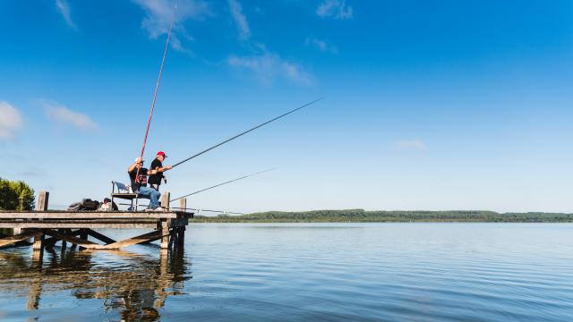 Pêche au Lac de Léon | Côte Landes Nature