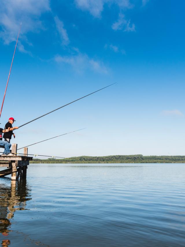 Pêche au Lac de Léon | Côte Landes Nature