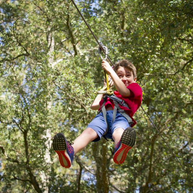 Accrobranche dans la forêt landaise | Côte Landes Nature Tourisme