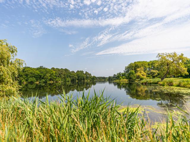 Lac d'Uza | Côte Landes Nature Tourisme