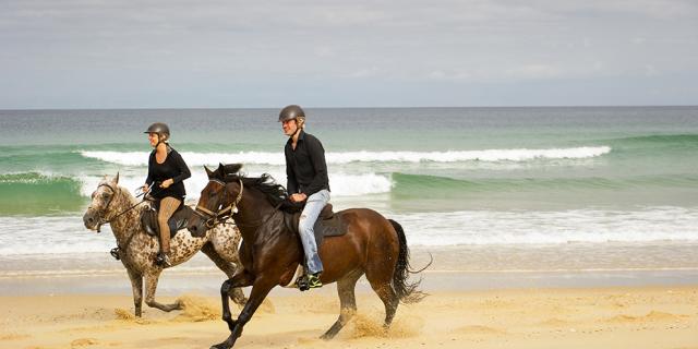 Randonnées à Cheval sur la Plage | Côte Landes Nature Tourisme